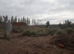 20180405_115439