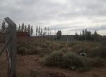 20180405_115445